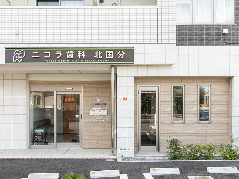 定期検診の様子